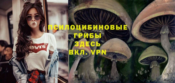 каннабис Богородицк