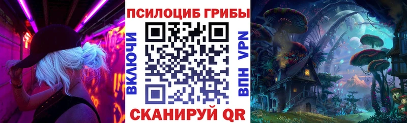 Псилоцибиновые грибы Cubensis  Астрахань 